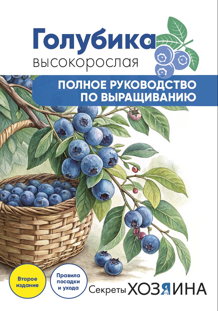 Golubika 01