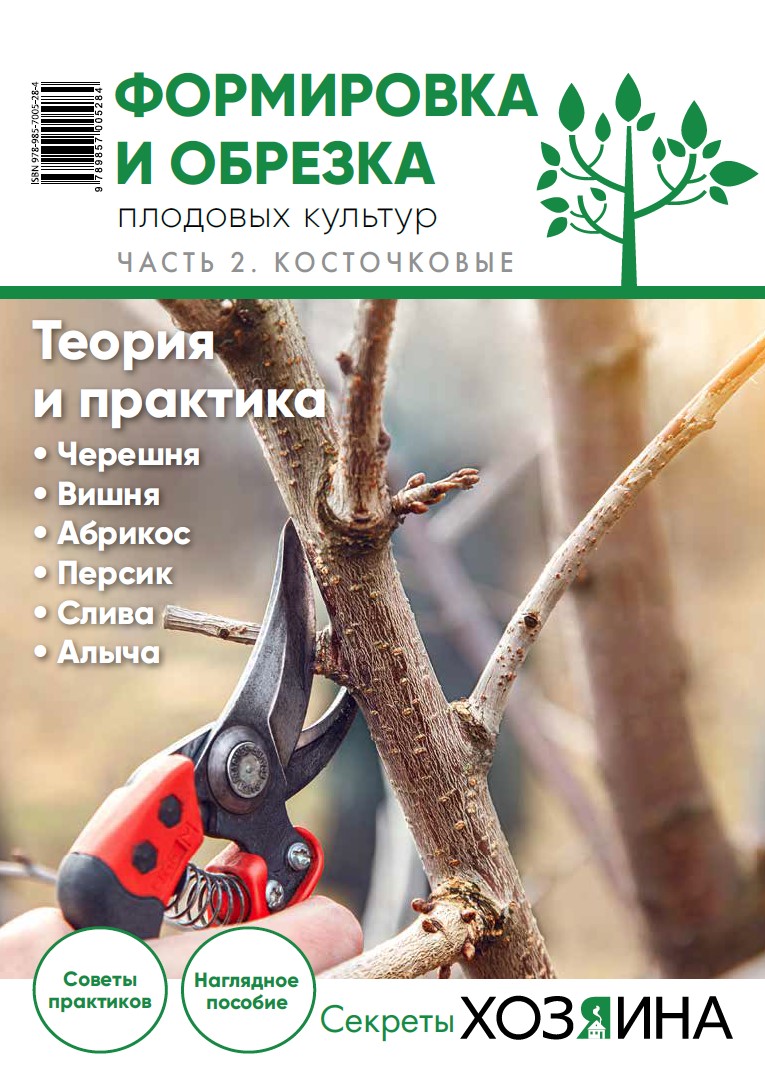 Obrezka kost01
